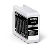 Epson Grey cartuccia d'inchiostro da 25 ml T46S7 - Epson SureColor P700