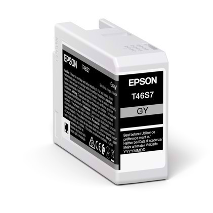 Epson Grey cartuccia d\'inchiostro da 25 ml T46S7 - Epson SureColor P700
