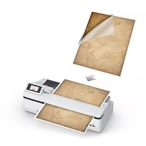 Epson Document Carrier Sheet (LFP) - A1

Epson Foglio Portante per Documenti (LFP) - A1