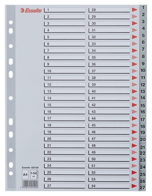 Esselte Registro PP A4 1-54 grigio