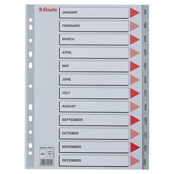 Esselte Registro PP A4 Gen-Dic (GB) grigio