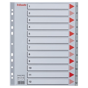 Esselte Registro PP A4 maxi 1-12 grigio