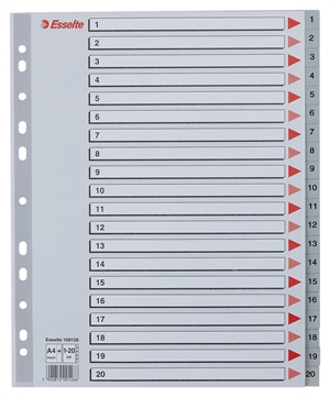 Esselte Registro PP A4 Maxi 1-20 grigio