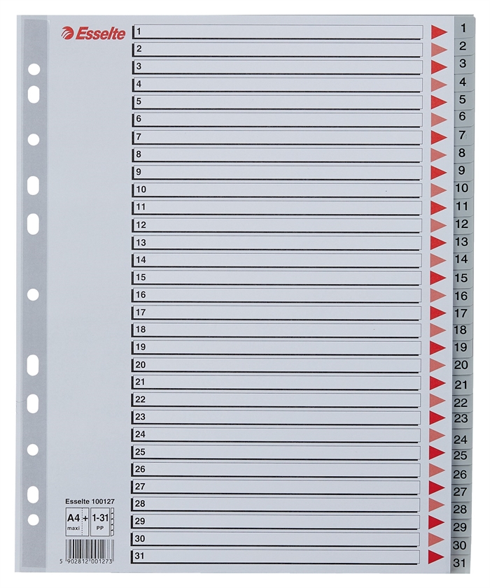 Esselte Registro PP A4 maxi 1-31 grigio