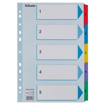 Esselte Registro in Mylar in cartone A4 1-5