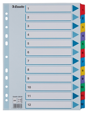 Esselte Registro in cartoncino Mylar A4 da 1-12