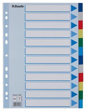 Esselte Schede in PP formato A4 con 12 divisioni e tab divise per colore.