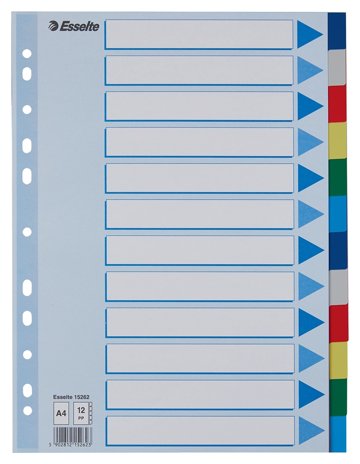 Esselte Schede in PP formato A4 con 12 divisioni e tab divise per colore.