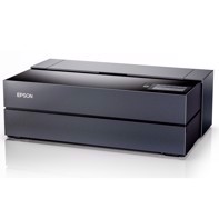 Epson Surecolor P900 - Stampante fotografica A2 + Pacchetto di campioni in Luster di Color Europe