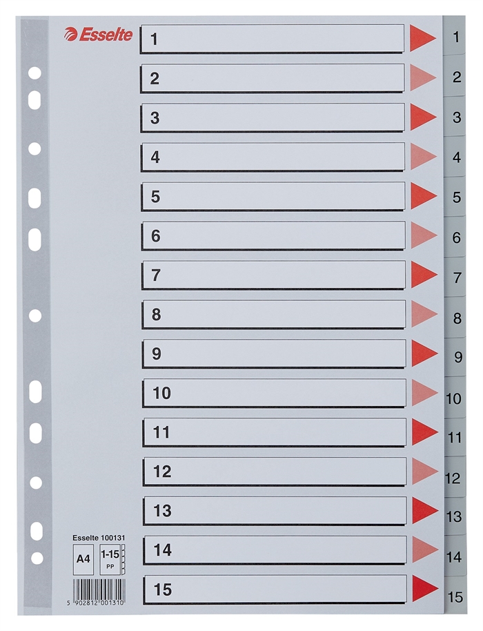 Esselte Registro PP A4 1-12 grigio