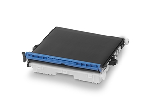 Cintura di trasferimento OKI per OKI 9431 e OKI 9541 - 150.000 pagine