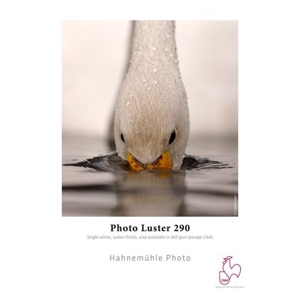 Hahnemühle Photo Luster 290 g/m² - 24" x 30 metri 