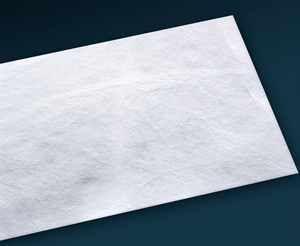 Rauch Tyvek EXPO banner in tessuto antistrappo e impermeabile - 105 g/m², 50" x 30 metri