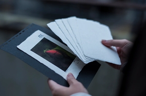 Awagami Shiramine Postcards - 260 g/m², 20 fogli